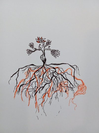 La forêt crisse - Sortie de résidence - Création 2027