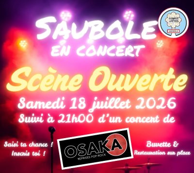 Concert