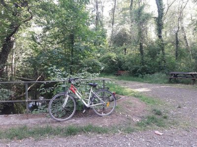 Balade à vélo entre Ried et Rhin