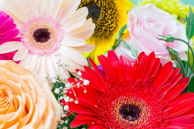 L'été de l'Office : Atelier création nature et contemporaine de fleurs fraîches (complet)