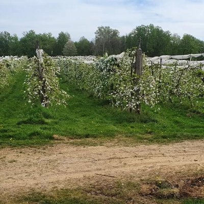 Visite ludique en famille du Verger BIO de Quinsac