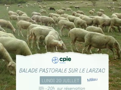 Nouveauté 2026 - " Balade pastorale sur le Larzac " avec le CPIE