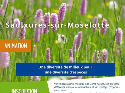 Sortie nature - Une diversité de milieux pour une diversité d'espèces