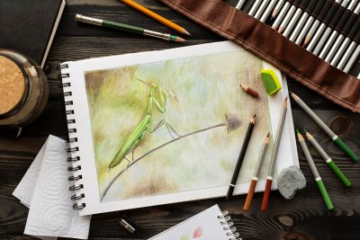 Exposition aquarelle et autres techniques