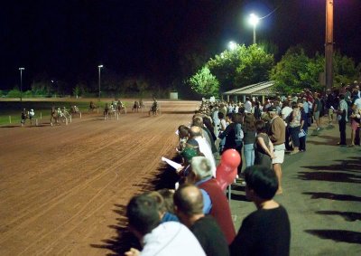 Courses hippiques en nocturne