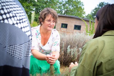 Visite et Atelier : Découvrez les plantes médicinales et fabriquez votre stick à lèvres