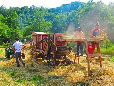 17ÈME FÊTE D’ANTAN