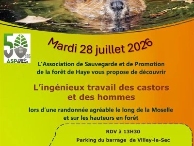 Randonnée "L'ingénieux travail des castors et des hommes"