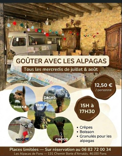 Ateliers feutrage à la ferme des Alpagas de Fons