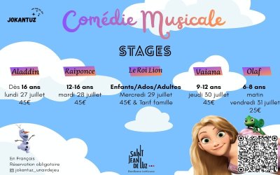 Stages de comédies musicales