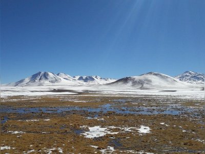 Animation jazz & photographies, Catherine Szczurko et Daniel Arrieta "Atacama Chili Photographies"