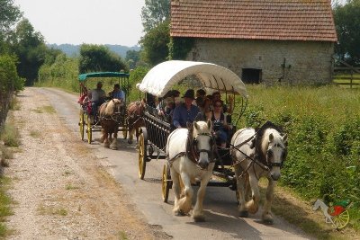 Balade attelée au coeur de Valognes