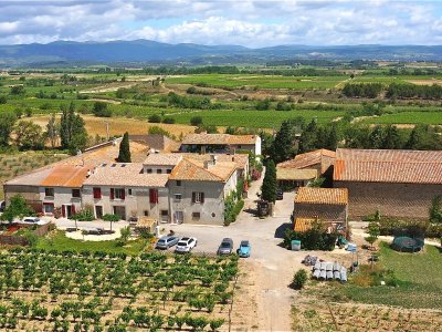 BALADES VIGNERONNES EN GRAND CARCASSONNE - DOMAINE DES HOMS