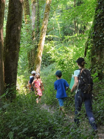 Randonnée commentée : Le long de la Cure entre rivière, forêt et bocage - 29 juillet