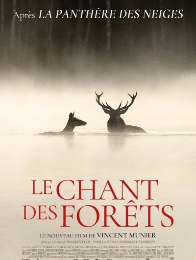 Cinéma en plein air : Le chant des forêts