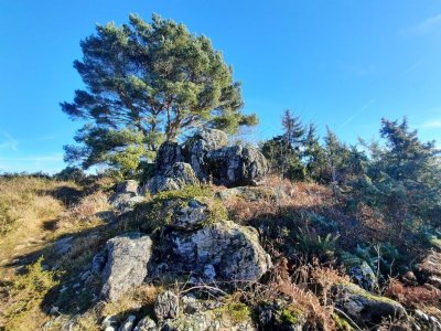 Sortie nature sur la lande des Pierres du Mas