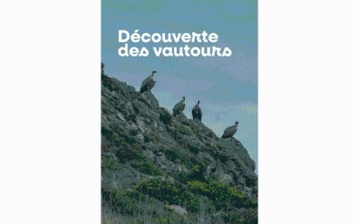 Sous les ailes des oiseaux migrateurs