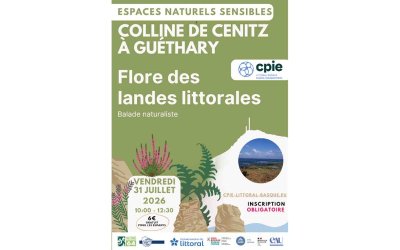 Balade naturaliste : flore des landes littorales sur la colline de Cénitz