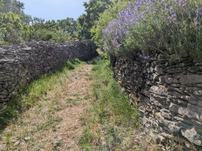 RANDONNÉE LE ROC ROUGE DEPUIS LA GARE DE BÉDARIEUX