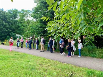 Balade commentée de parcs en parcs