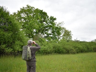 Sortie nature
