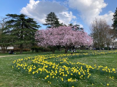 Le PR® des Bords du Loiret
