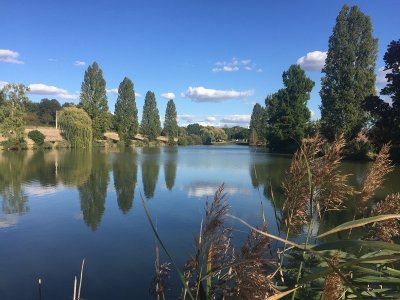 Etang des Arguillonnières