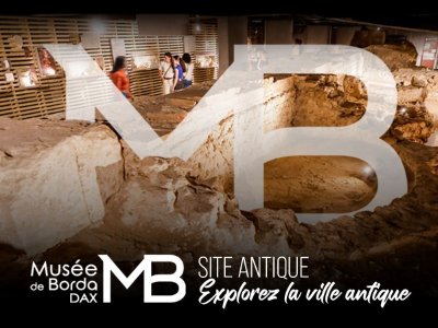 Musée de Borda et Site antique