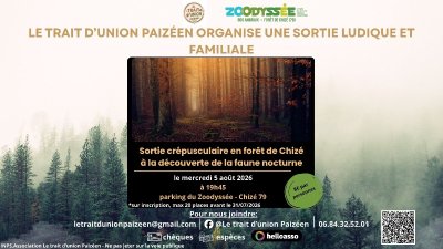 Sortie crépusculaire en forêt de Chizé