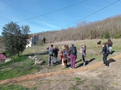 Site Nature du Merlet