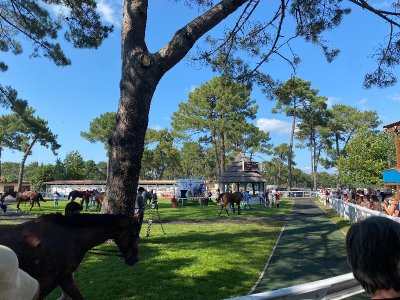 Visite privilège à l'hippodrome, un jour de courses