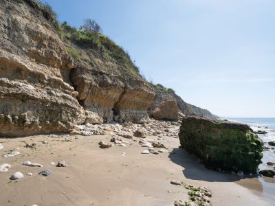Les détectives naturalistes au falaises des Roches Noires