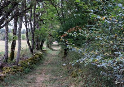Autour du hameau du Gazy