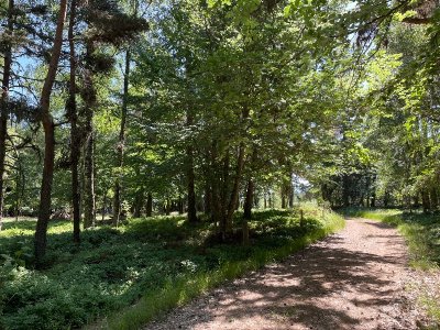 La croix de Parpaillon - Trail n°51