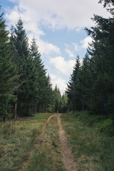 De Châteauneuf au lac Charpal - Trail n°23
