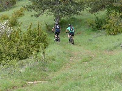 Sauveterre - VTT n°1