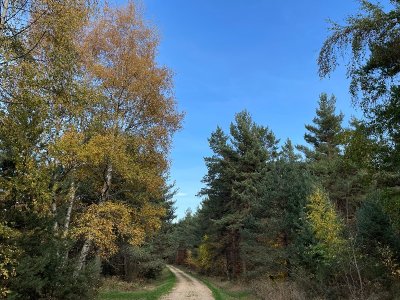 Le sentier des Fées