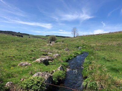 De Nasbinals à Saint-Urcize- Trail n°45