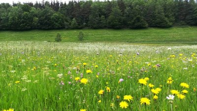 Chabestras - Trail n°32