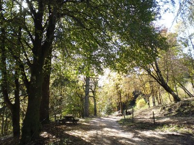 Col des Abeilles