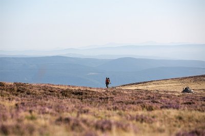 Mallevrière par Finiels