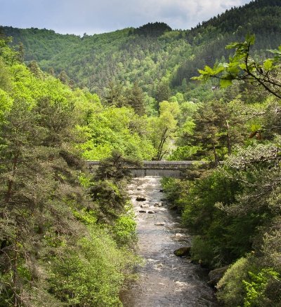 Le Pont de la Garde en Gravel