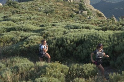 Lac de Villefort - Trail n° 1