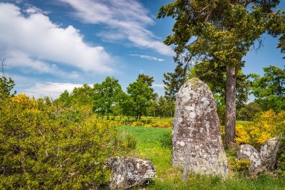 Le Menhir de Pinjo Chabre - VTT n°12