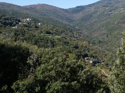 Béal des abrits