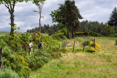 Les Terrasses de la Truyère - Parcours n°12