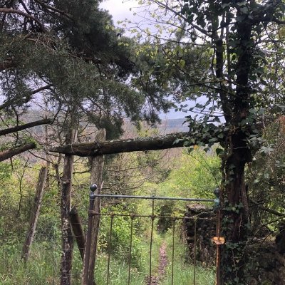La bête du Gévaudan - Trail n°3
