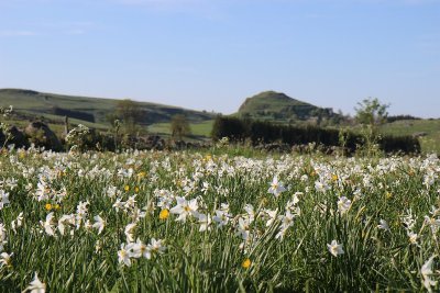 La Motte de Marchastel