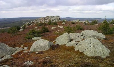 Autour du Truc de Randon - Trail n°11
