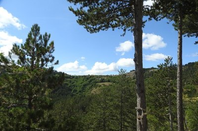 Causse de Sauveterre